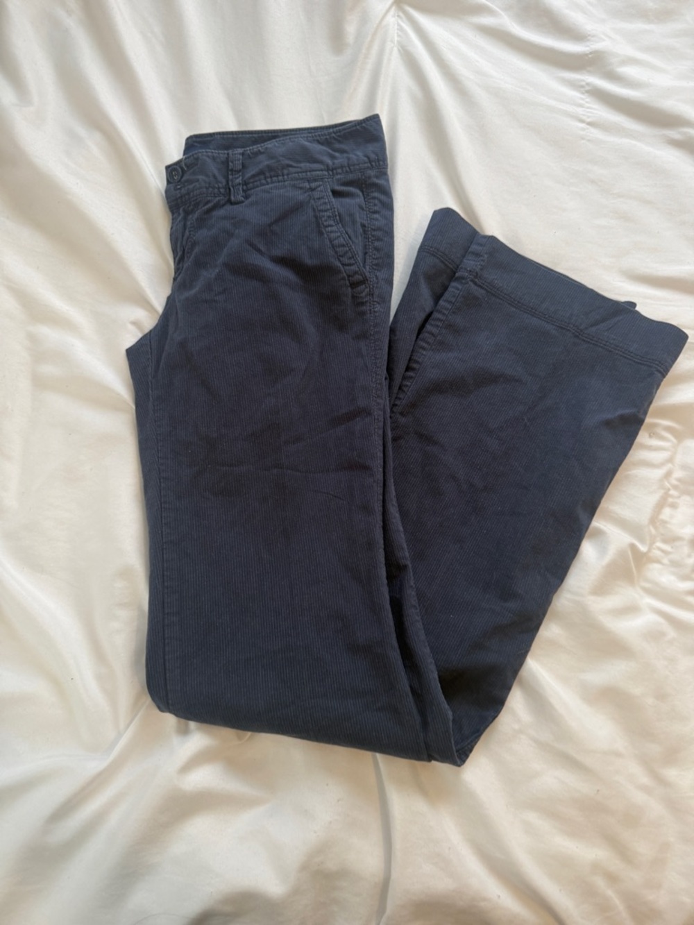 Navy Blue striped Pants